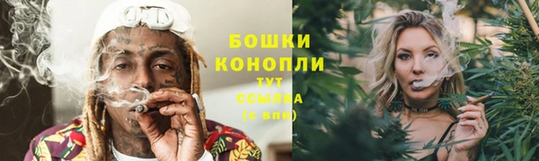 молекула духа Иннополис