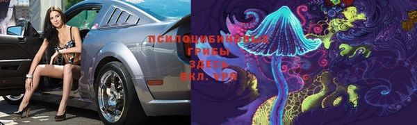 apvp Осташков