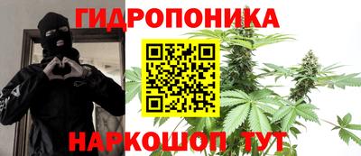 тгк Будённовск