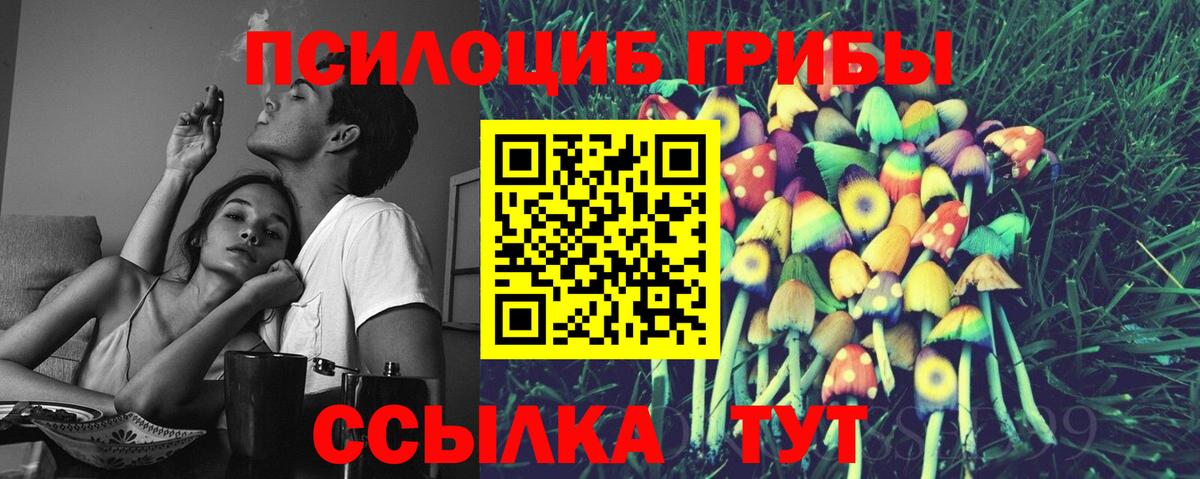 Псилоцибиновые грибы прущие грибы Коммунар