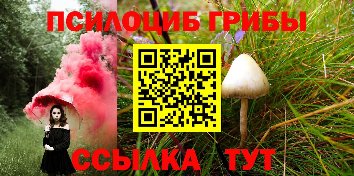 Галлюциногенные грибы GOLDEN TEACHER  Вход с VPN  Галлюциногенные грибы Cubensis  Коммунар 